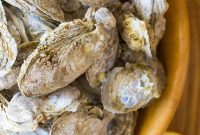 Mastering the Oyster Shuck