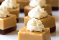 Decadent Baileys Jello Shooters