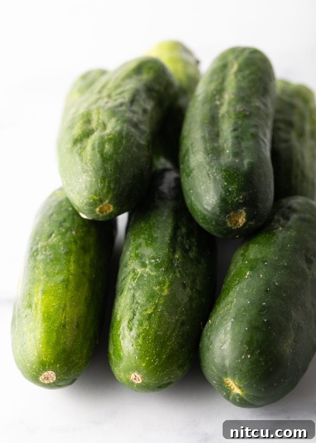 Fresh cucumbers on a kitchen counter.
