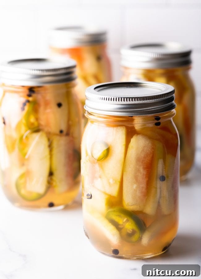 four jars filled with pickled watermelon rinds