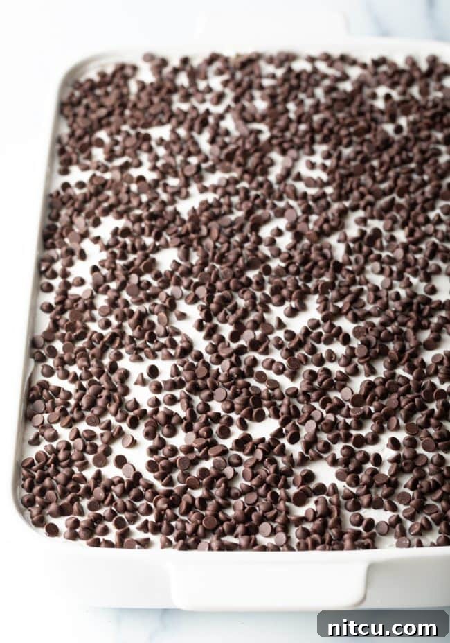 A large pan of No-Bake Chocolate Lasagna, generously topped with mini chocolate chips, ready for serving.