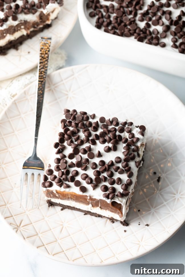 An overhead view of the assembled No-Bake Chocolate Lasagna in a rectangular dish, showing the beautiful layers of dark Oreo crust, lighter cream cheese, rich chocolate pudding, and a whipped topping, sprinkled with mini chocolate chips.