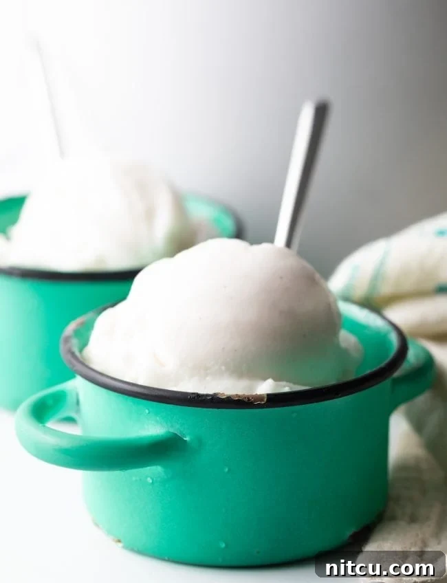 coconut milk ice cream in two small serving bowls.