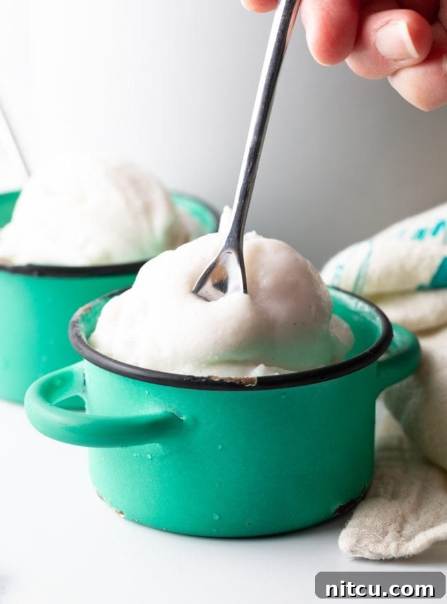 getting a spoonful of coconut milk ice cream in a small bowl