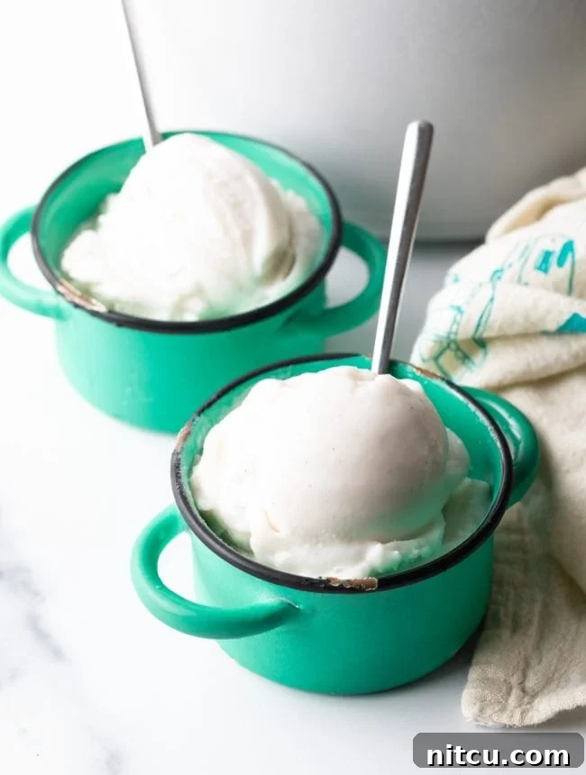 two servings of dairy-free coconut milk ice cream