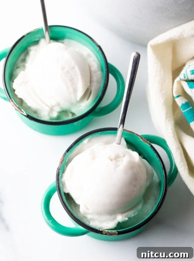 overhead view of two cups with homemade vanilla coconut milk ice cream