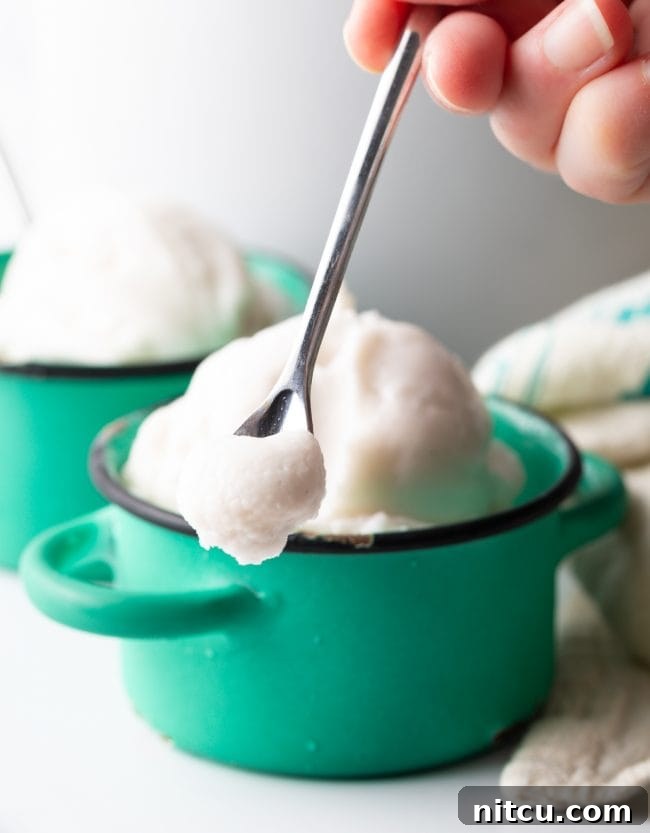 scoop of coconut ice cream on a spoon
