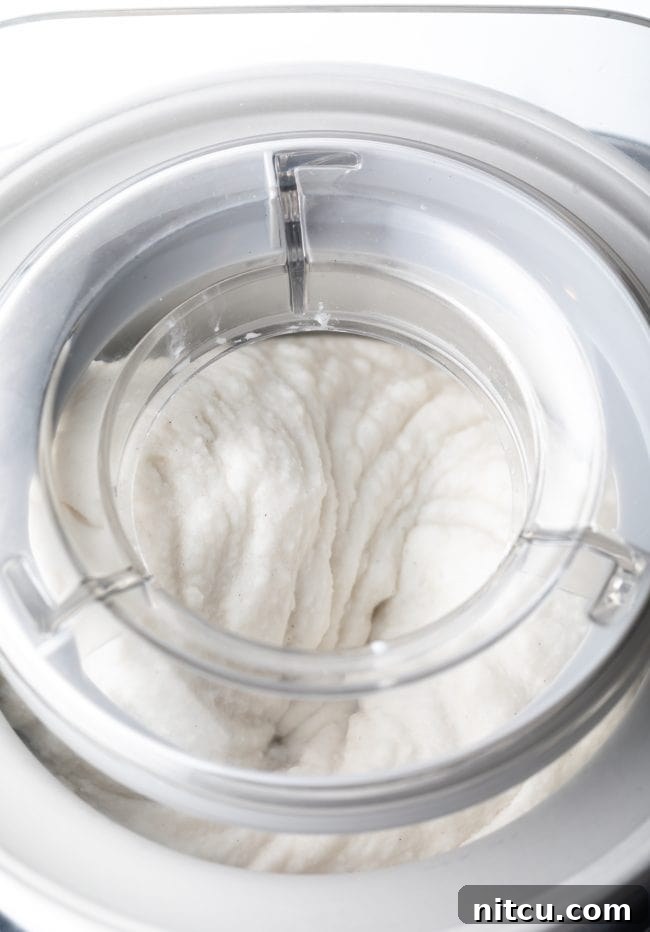 churning dairy-free ice cream in a machine