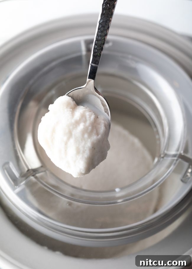 Coconut ice cream in an ice cream maker with a spoon of ice cream above it.
