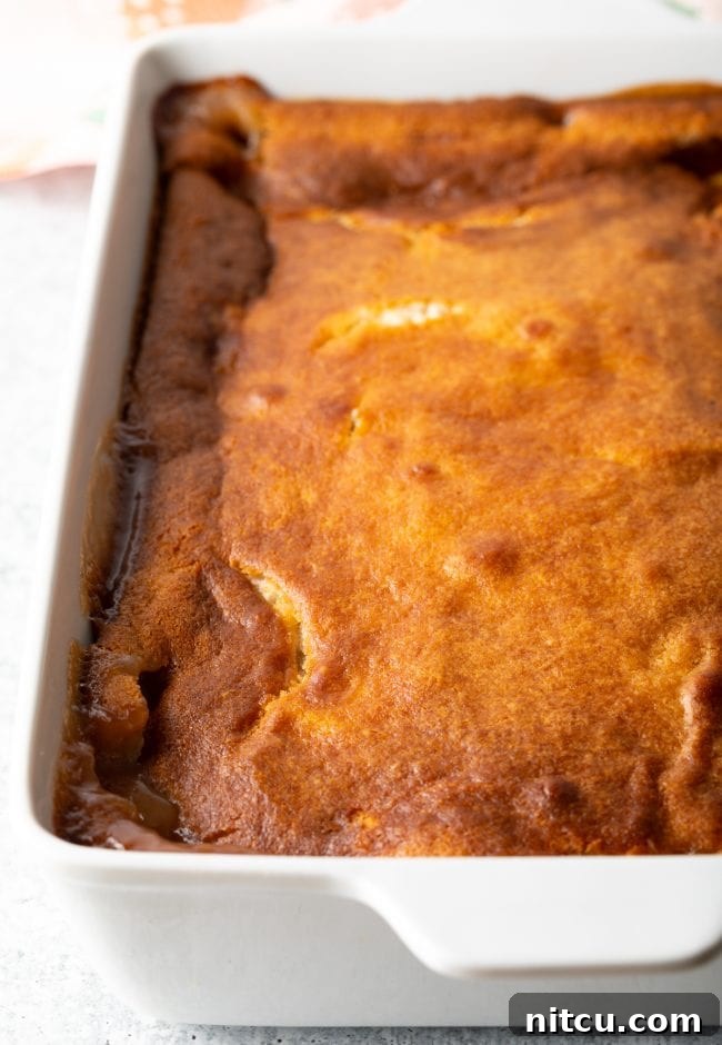 baked bisquick peach cobbler recipe