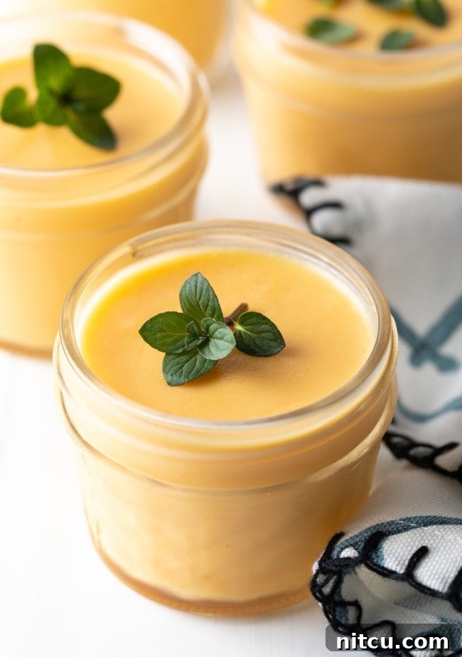 Close up view of dairy free mango pudding.