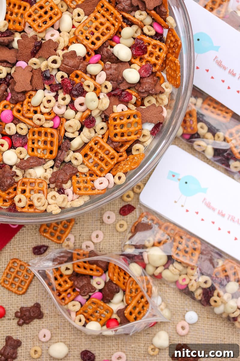 Overhead view of valentines day Snack - trail mix in a big bowl with gift bags full of trail mix next to it.