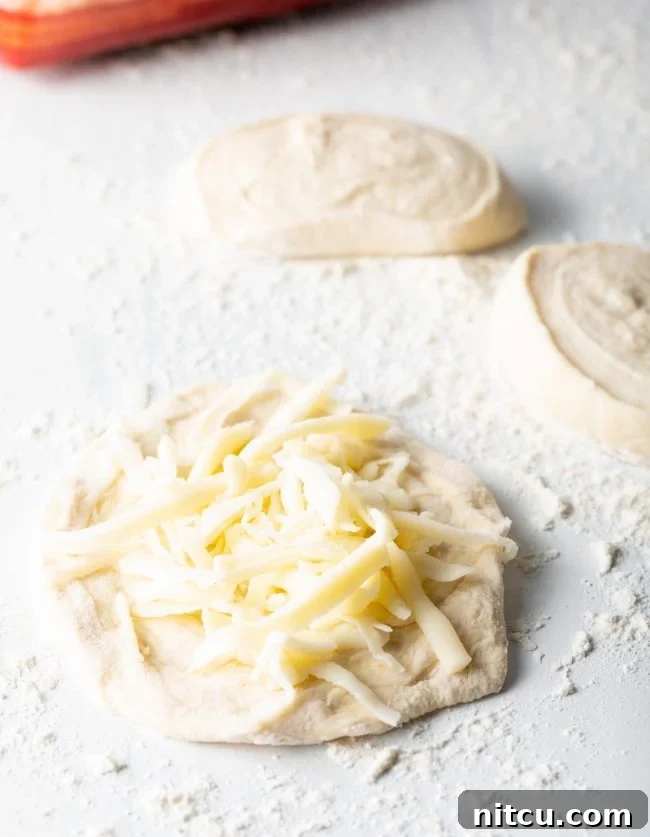 Mozzarella on a piece of pizza dough.