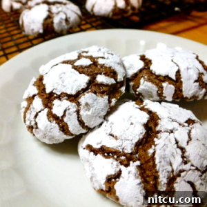 Gluten-Free Dairy-Free Chocolate Crinkles