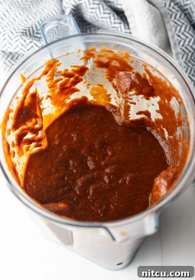 blender with new mexico red chile and raisin sauce