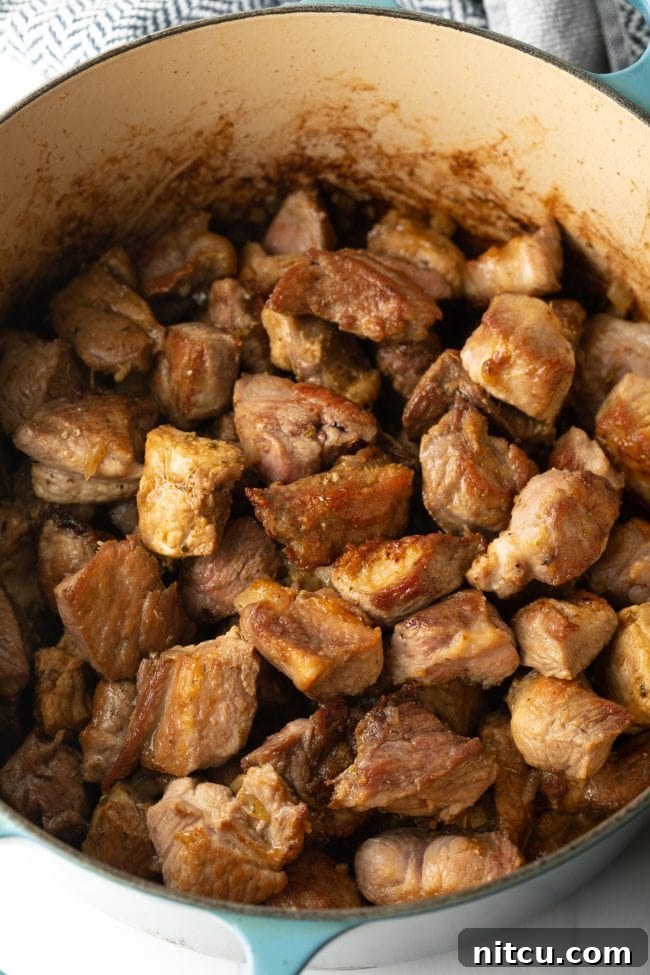top view chunks of seared pork in a large pot