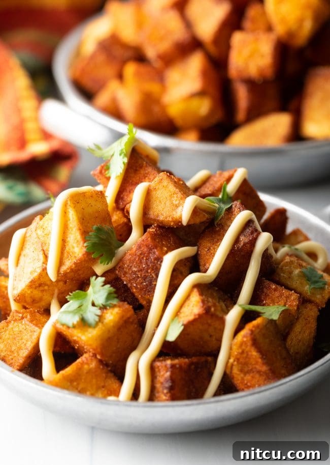 Close-up shot of a bowl of finished Patatas Bravas recipe with creamy aioli and chopped cilantro
