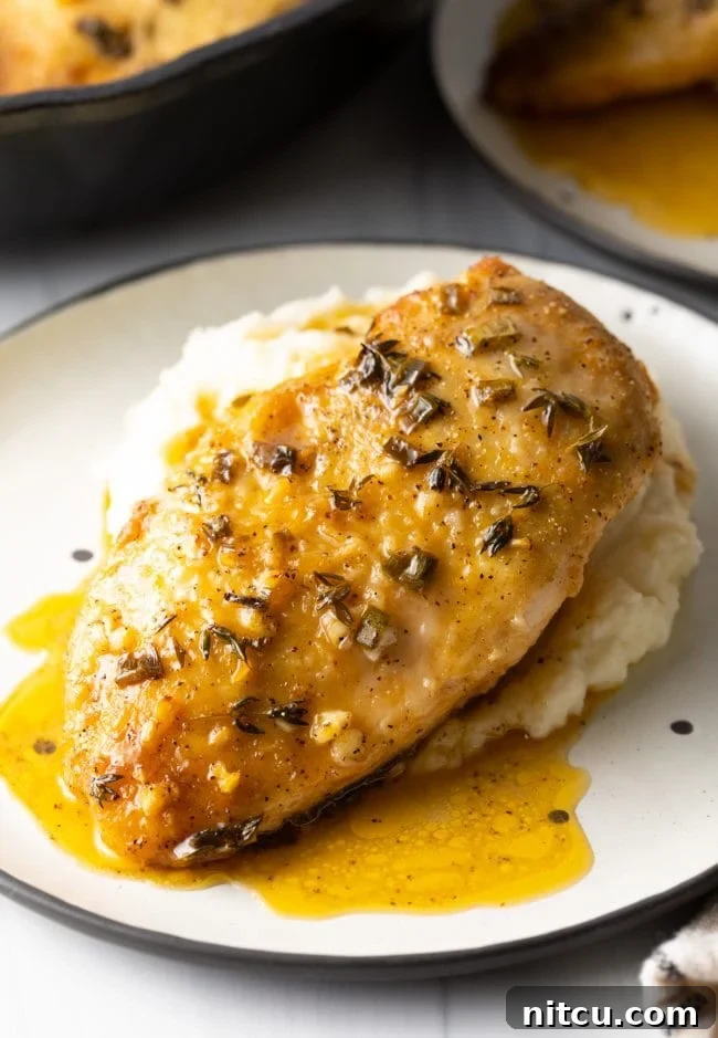 Golden brown French chicken breast with garlic and lemon on a bed of creamy mashed potatoes, served on a pristine white plate.