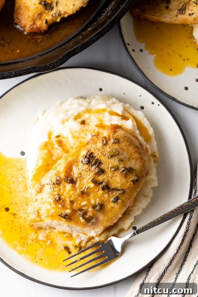 Overhead top view of beautifully golden oven-baked French chicken breasts, glistening with lemon garlic sauce, artfully arranged on white plates with a fork poised for enjoyment.
