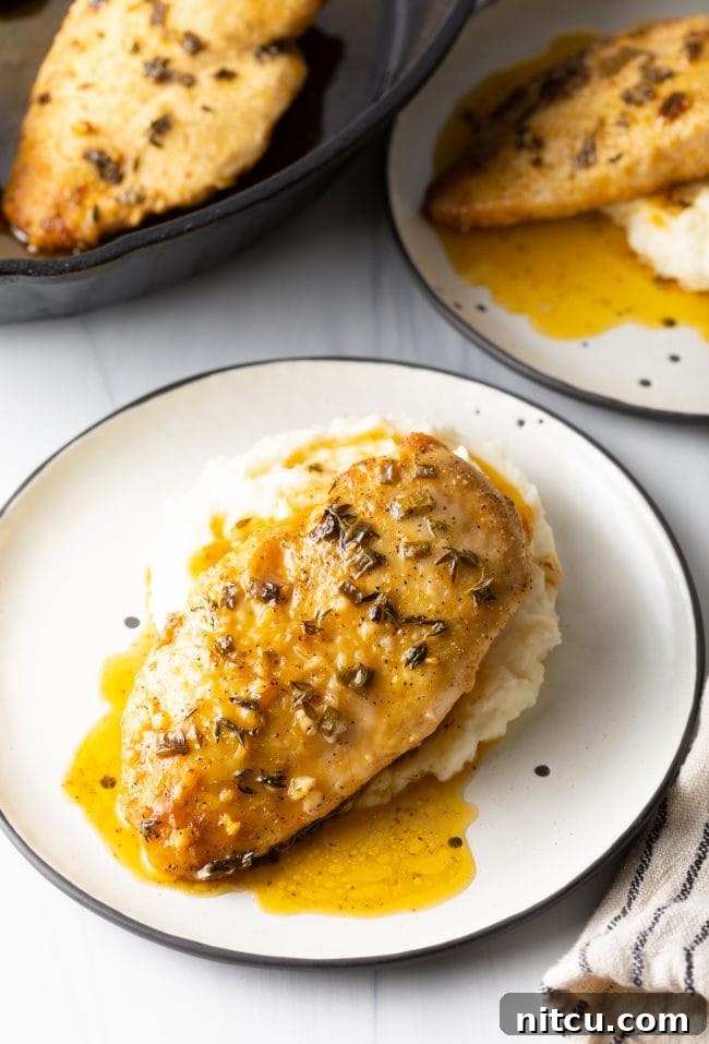 Overhead top view of two plates featuring oven-baked lemon garlic French chicken breasts elegantly served atop fluffy mashed potatoes, with the cast iron skillet holding more chicken visible in the background.