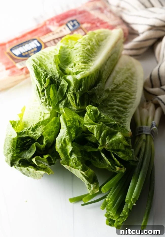 bundles of romaine, scallions, and bacon in the background all on a white background