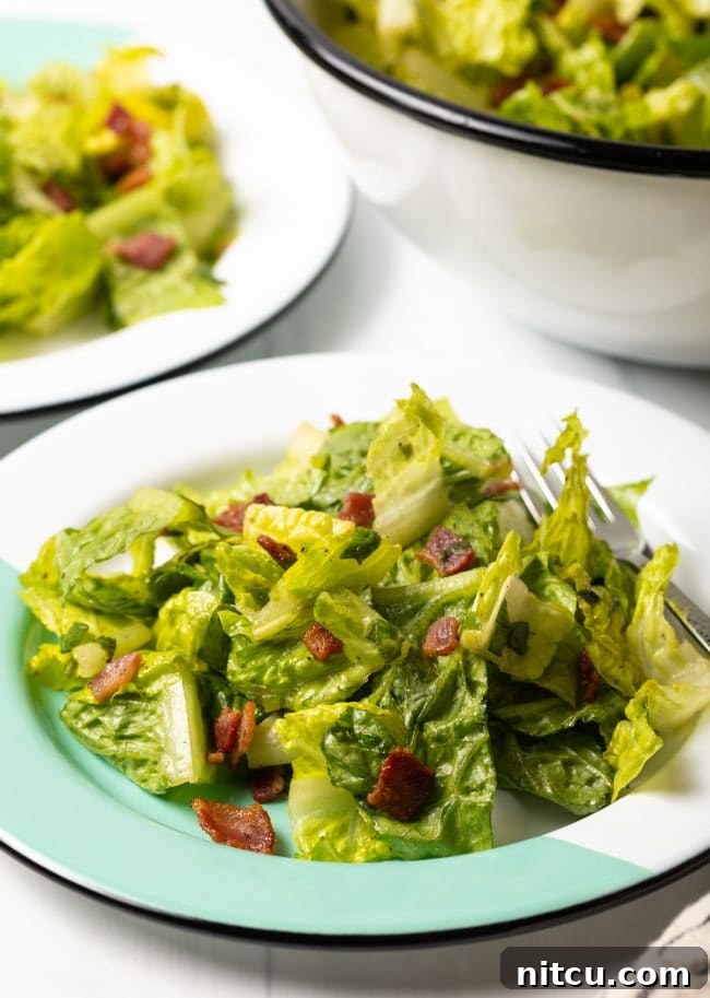 side view killed lettuce salad on a white and teal plate