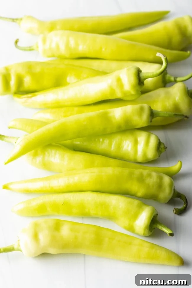 Vibrant yellow-green banana chiles arranged neatly on a clean white background, showcasing their natural form