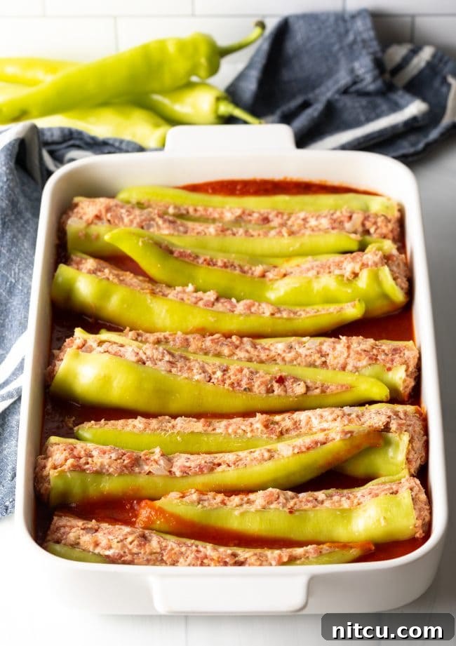 Several banana peppers, already stuffed with the savory sausage mixture, neatly arranged in a baking dish and ready for the oven