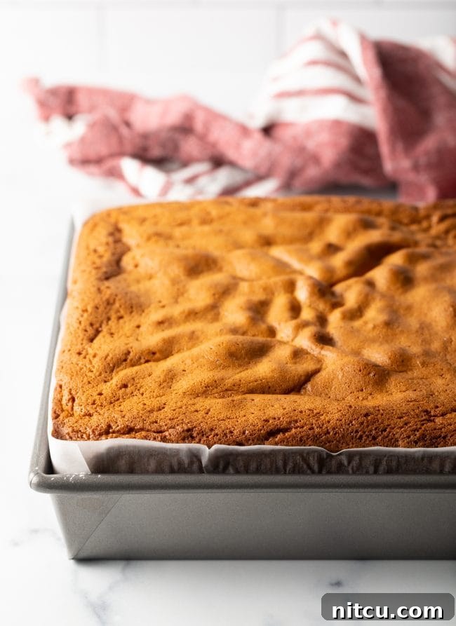 Baked Japanese sponge cake in a cake pan.