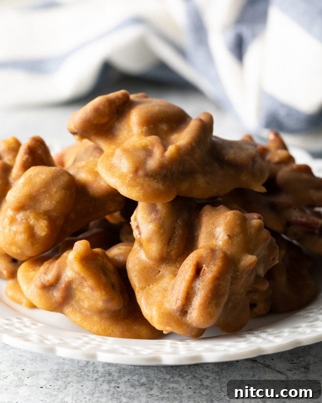Close-up view of a mound of golden cinnamon praline pecans on a pristine white plate, showcasing their inviting texture and rich color.