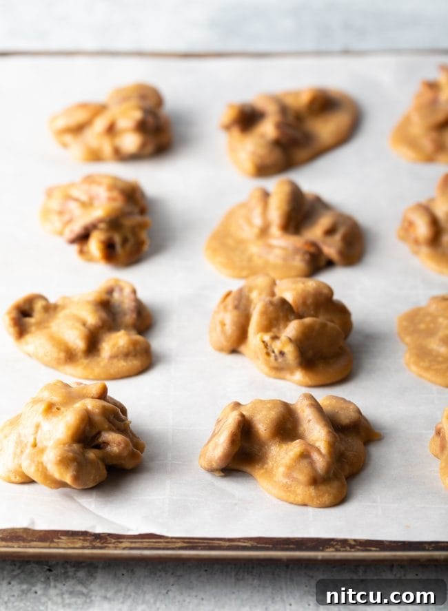 Rows of freshly made homemade pecan candies are drying and cooling on parchment paper.