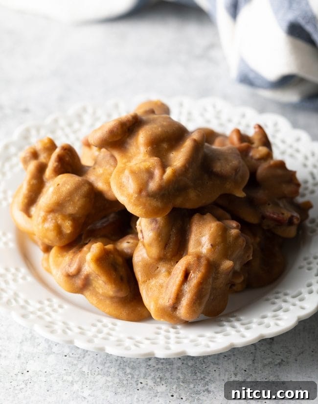 Top view of several delectable pecan pralines arranged appealingly on a simple white plate, ready for serving.