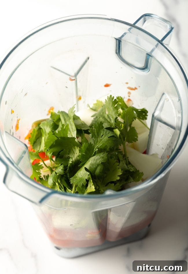 blender jar top view with cilantro added to other ingredients, showcasing all the fresh aromatics