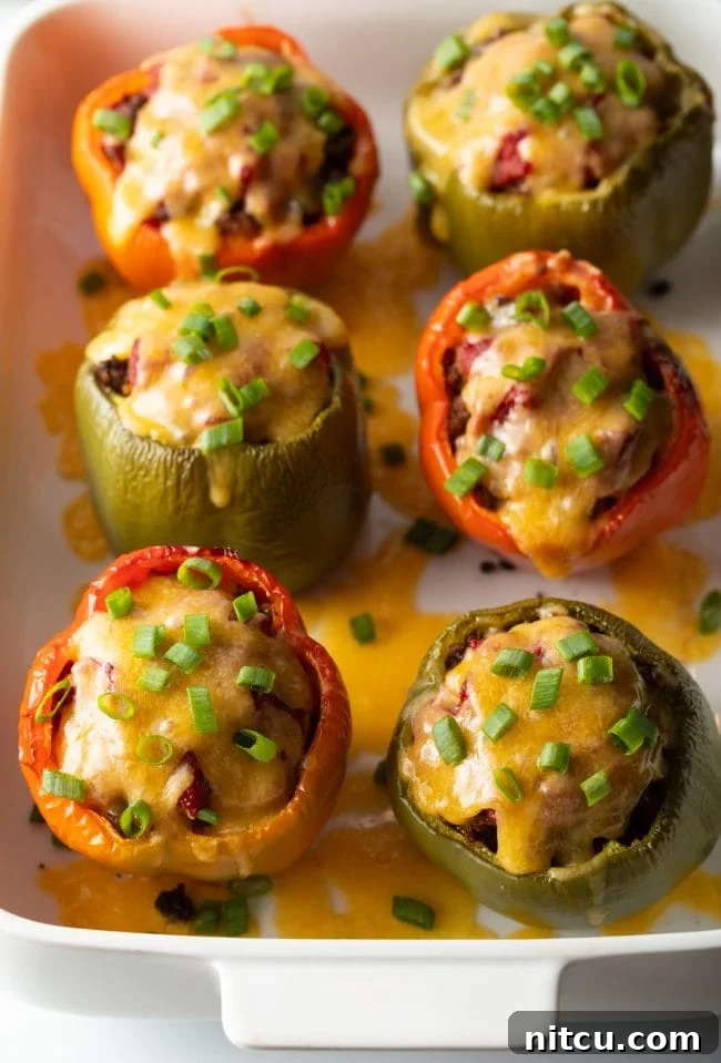 Top view baked stuffed peppers with cheese and scallions.