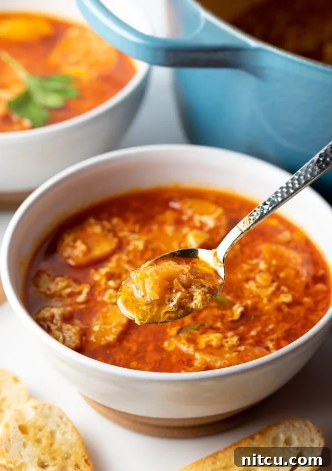 Spanish Soup - spoon scooping a bite of garlic and egg soup