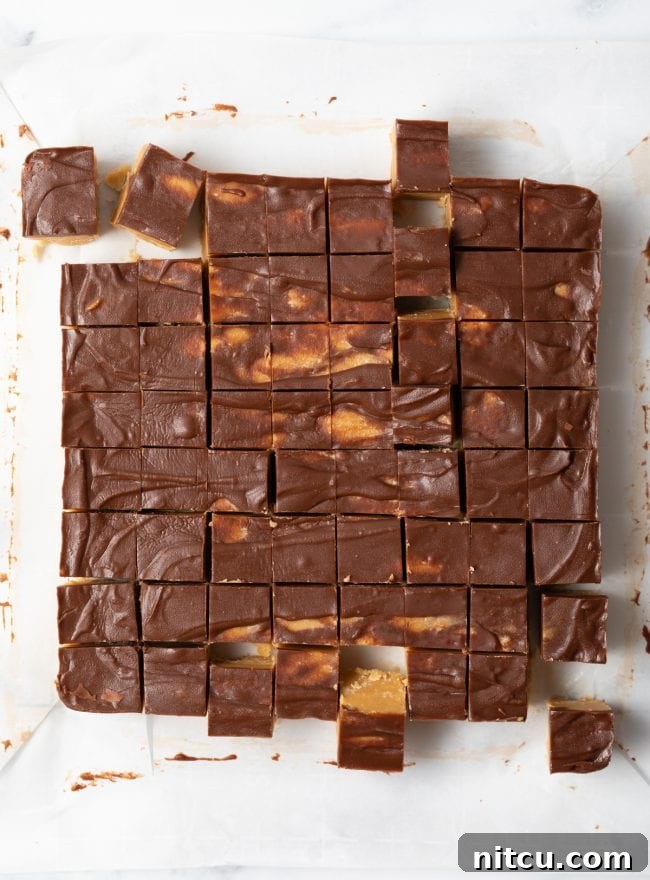 Top-down view of freshly cut chocolate peanut butter fudge, neatly arranged in 1-inch squares.