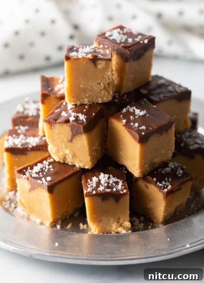 Stacked Chocolate Peanut Butter Fudge pieces, with a prominent chocolate swirl, elegantly presented on a silver plate.