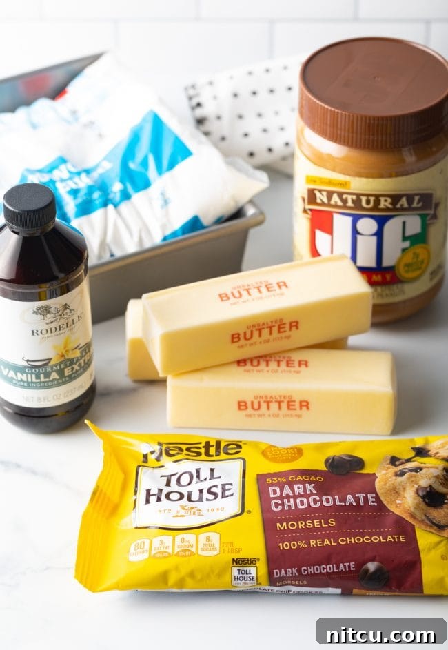 A flat lay photograph showcasing all the recipe ingredients: creamy peanut butter, salted butter, semi-sweet chocolate chips, vanilla extract, and powdered sugar.