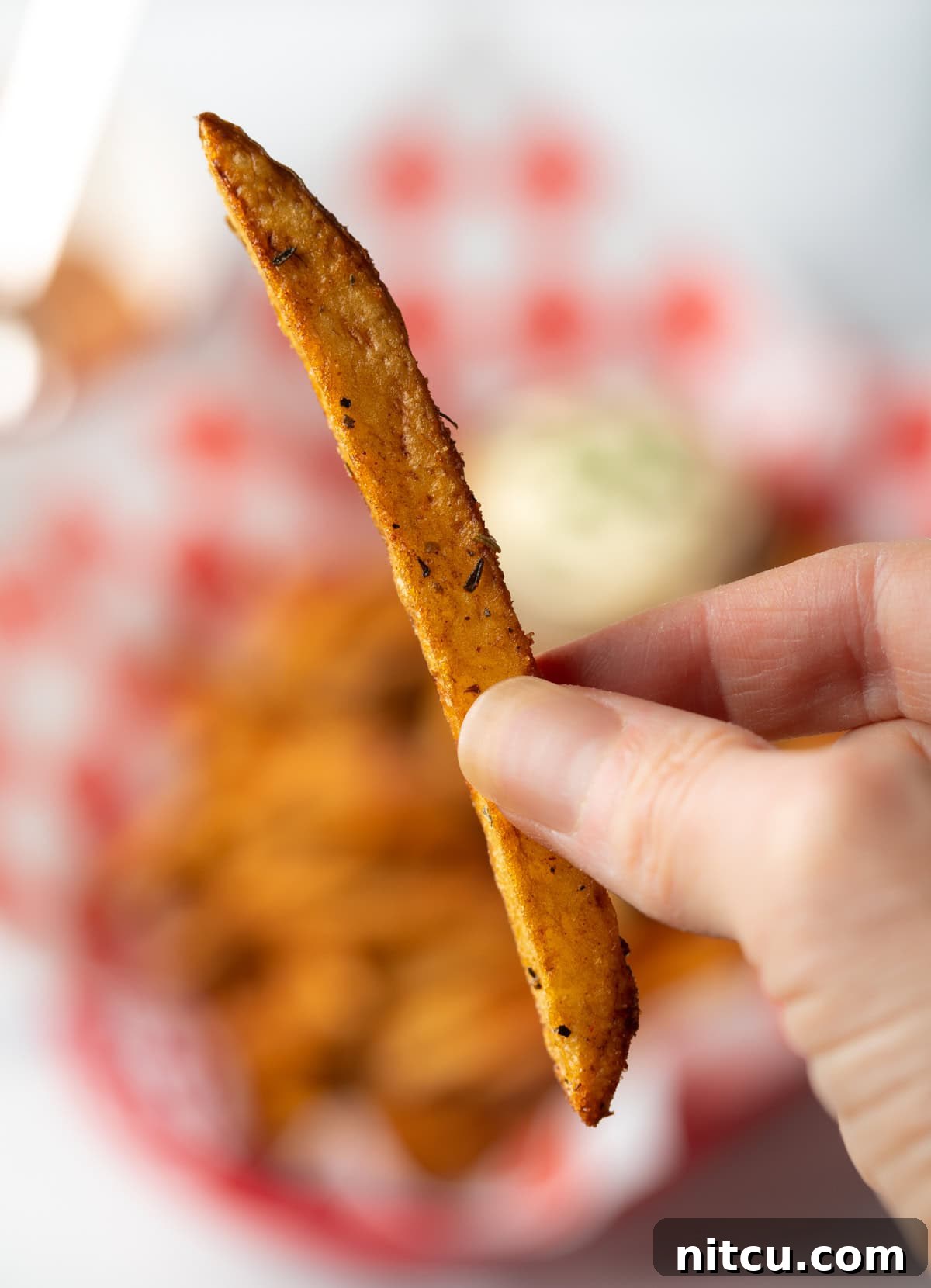 Hand holding one spiced fry to camera.