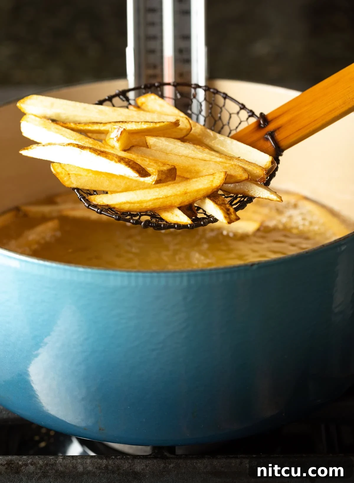 Skimmer holding French fries to camera.