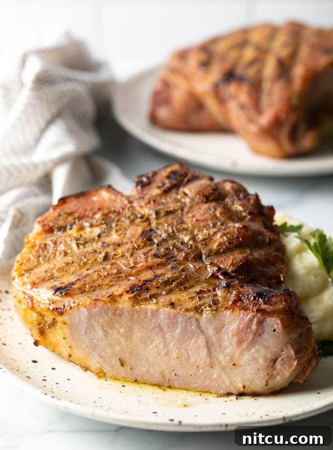 Side view showing wood pellet pork chops with slice removed.