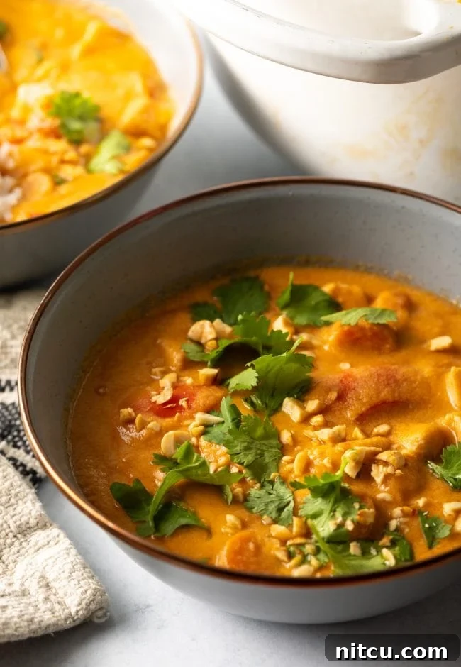 Close view of a bowl of Maafe topped with chopped nuts and cilantro, showcasing its rich texture and inviting garnish.
