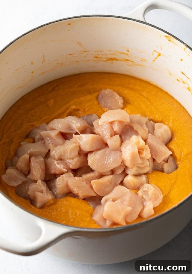A large pot filled with the creamy Maafe base, with chunks of uncooked chicken added.