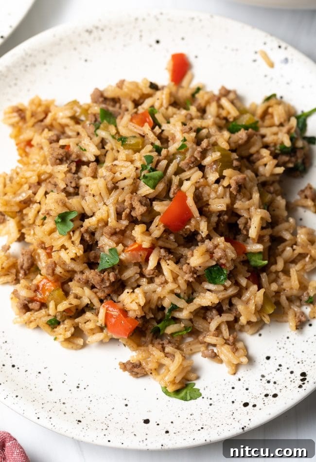A serving of Cajun dirty rice on a plate, garnished with fresh parsley.