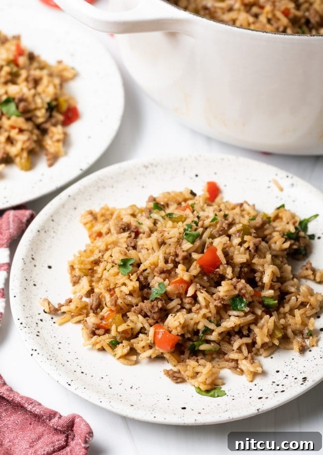 Closeup of plated dirty rice on a white plate with a fork.