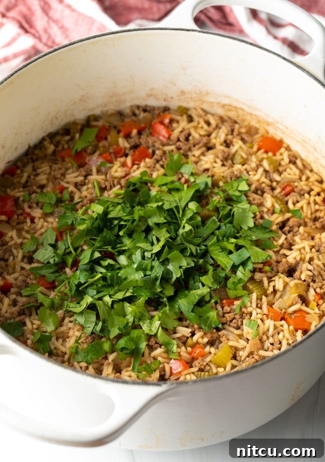 Finished cooked dirty rice in a pot, topped with fresh parsley.