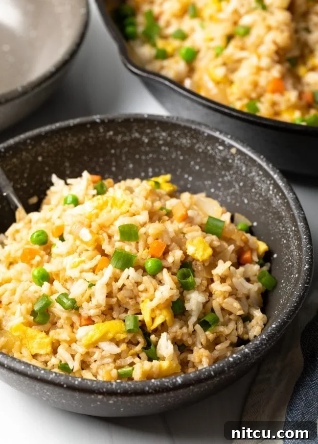 Bowl of hibachi style fried rice, perfectly garnished.