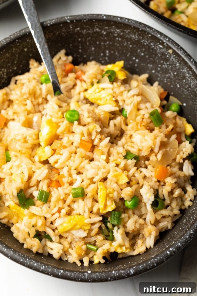 Close top down view of veggie fried rice with egg and scallions in a bowl, perfect for a meal.