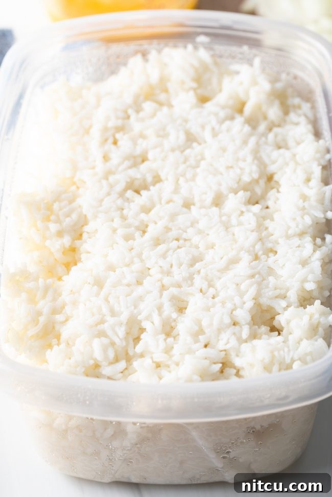 Cooked white rice in a container, perfectly chilled for optimal texture.