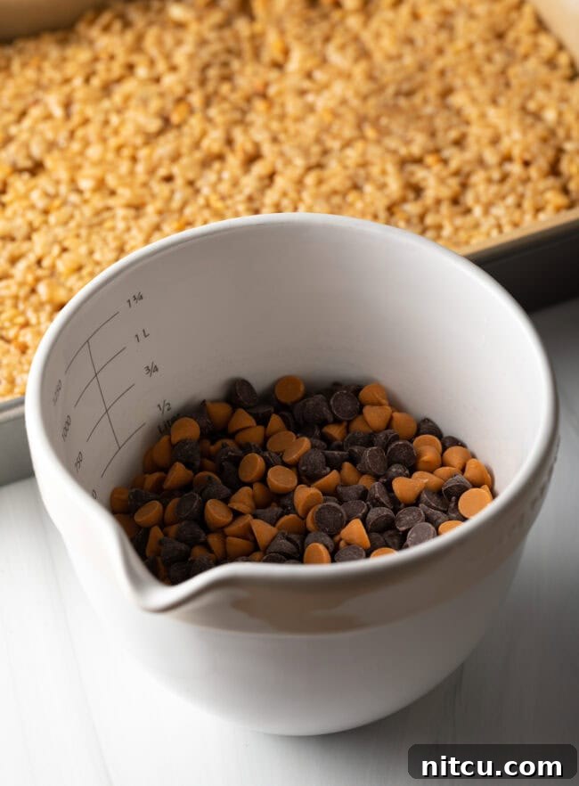 Bowl with butterscotch and chocolate chips.